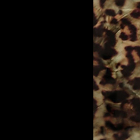 Nero - marrone maculato